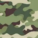 Squad/ Camoflauge Color